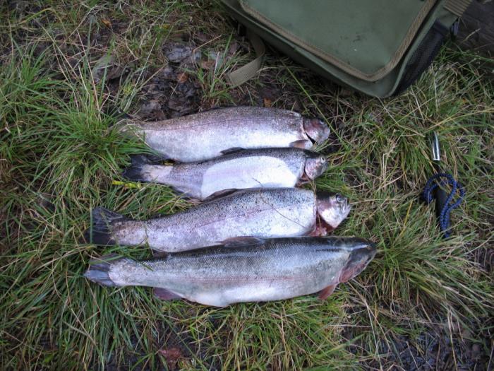 Kaikki kirjot paino sen kilon verran, kaks ylintä on enon ja kaks alinta on meikäläisen.