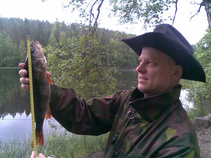 Konnevesi 15.07.2009
n 40cm ahven.
Kalaruokaa tarjosi perheelle sienikastikkeen kera
T. Hyytiäinen Espoosta.