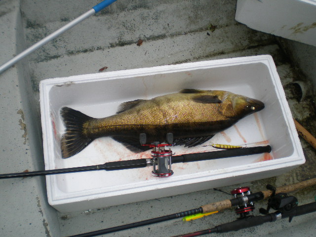 5.8 kg  Rautavaara