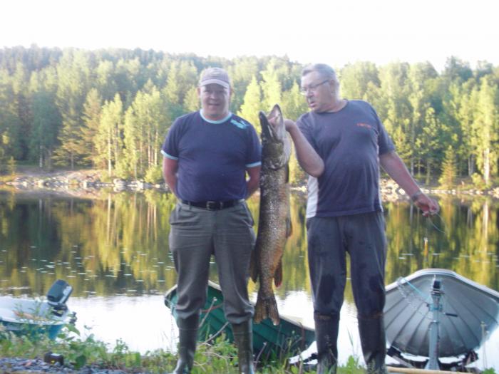 Eteläinen Kallavesi.10.615kg.pituus 120cm. Uistelemalla.