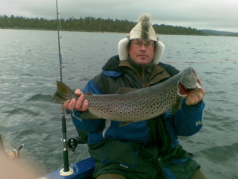 Inarijärven taimen 4,150kg