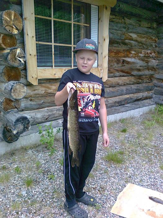 Hauki 55cm pitkä, painoa en tiedä. T uli myös ahven 20 cm pitkä en myöskään tiedä painoa. Kumatkin kalat tuli Kuolajoelta.
