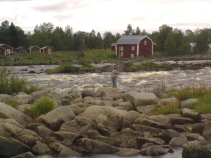 Lippoaja Kukkolankoskella Torniossa.
