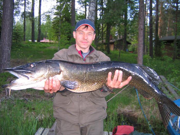 Vajaa 11kg jokunen vuosi sitten Kermajärveltä.
