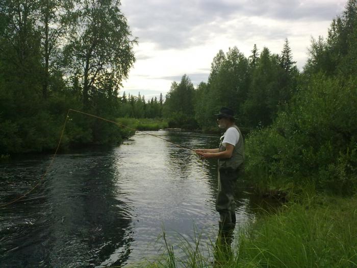 Kalamies, erämaajoki ja hiljaisuus Muonion Kangosjoella.