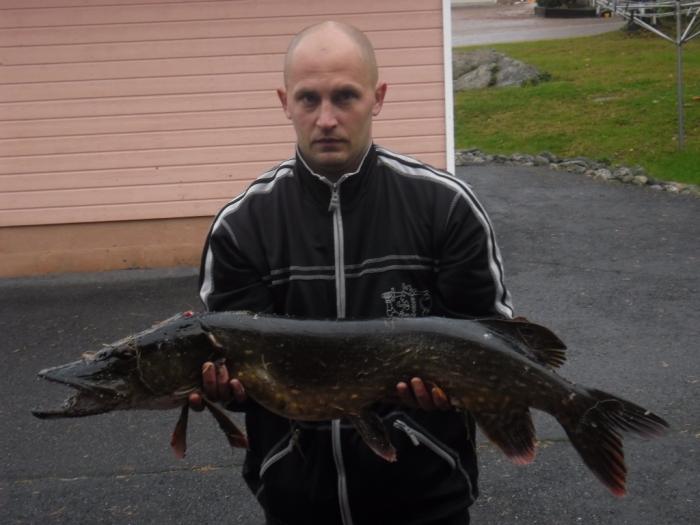 Pekka Niemistö sai 24 syyskuuta 2011 Seinäjoesta 100cm hauen. Hauki nappasi Jakki -vaappuun, joka väritykseltään oli keltainen. - Joessa liikkuu vielä suurempiakin yksilöitä, mutta valitettavasti Seinäjoen arvostus kalastuskohteena on laantunut. Nyt kalastamaan ja pitämään huolta yhteisestä kauniista joesta! 

Pelastakaa Seinäjoki kalastuskohteena!
www.adressit.com/pelastakaa_seinajoki