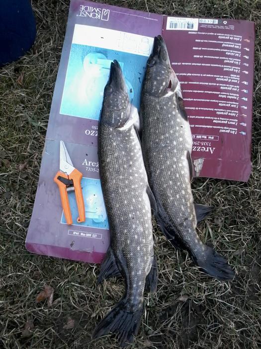 29.03.2015, Valkeakoski. Avovesikausi on korkattu ja saaliksi tuli kaksi haukea (1,76kg ja 1,60kg.) Savage Gear Real Eel 20 cm jigillä.  
Kalojen saajana Teemu Räntilä