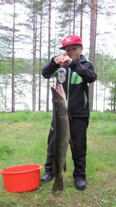 Oskari Kurki; nyt tuli hauki 14.2 kg